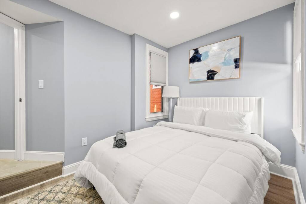 New! Cozy Apt In Center City! Philadelphie Extérieur photo
